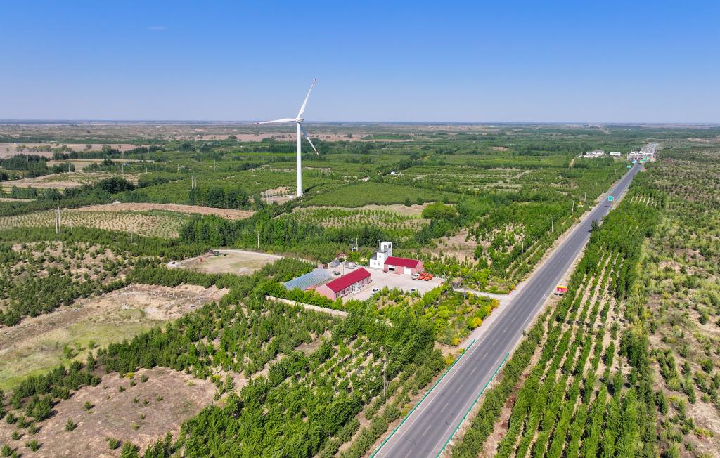 在內(nèi)蒙古通遼市，科爾沁沙地正漸漸披上綠裝。新華社記者連振 攝